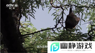 时光未央t