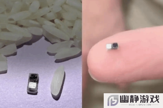 本站