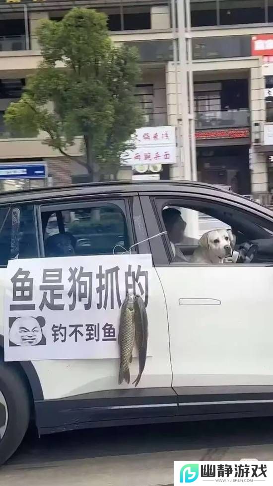 本站