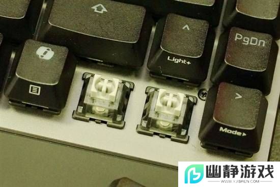 本站