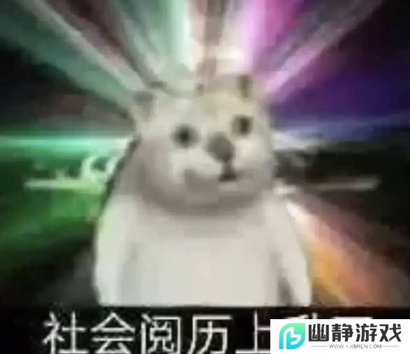 本站