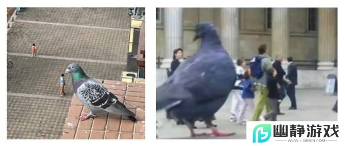 本站