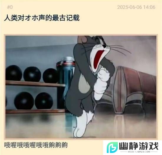 本站