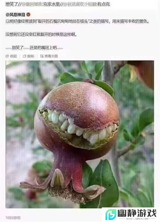 本站