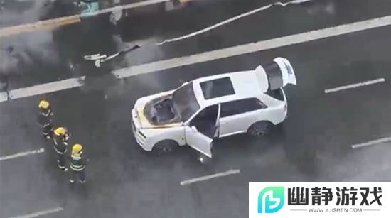 本站
