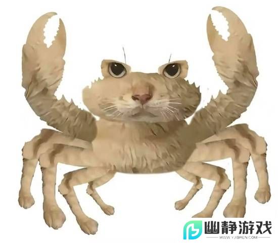 本站