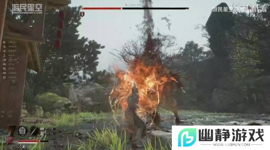 本站