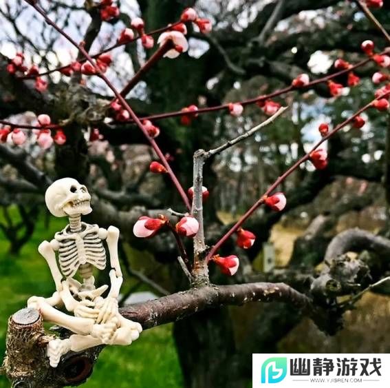 本站