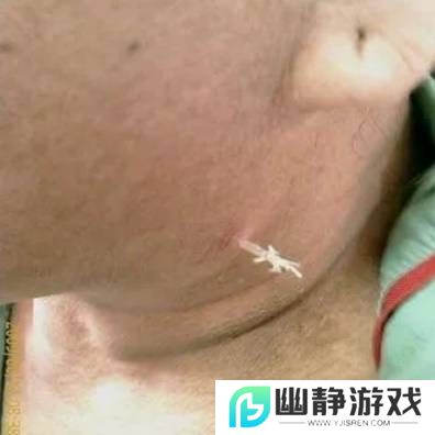 本站