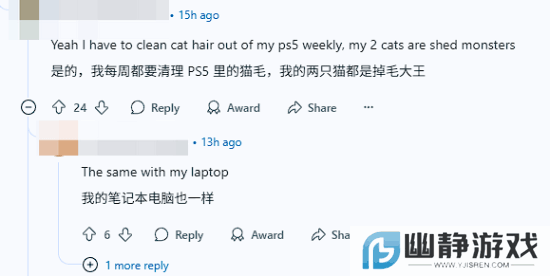 本站