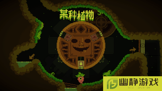 本站