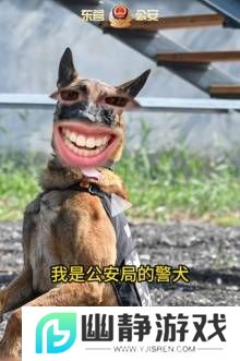 本站