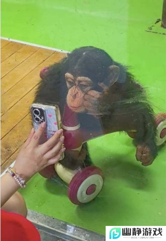 本站