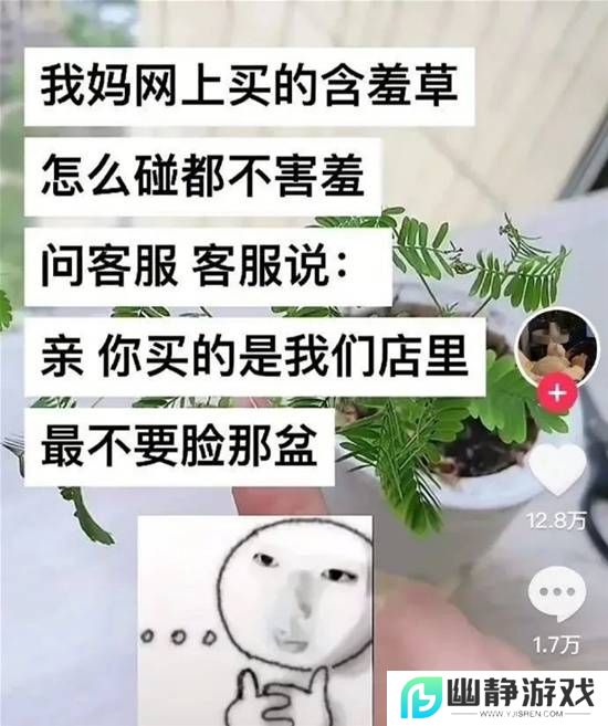 本站