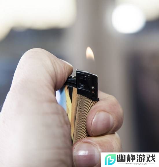 本站