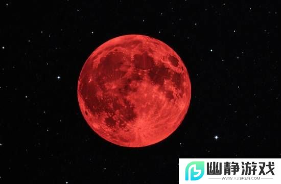 本站