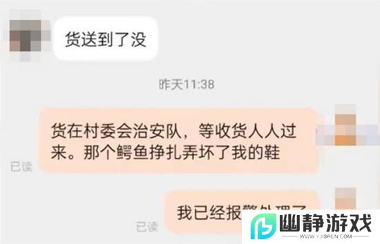 本站