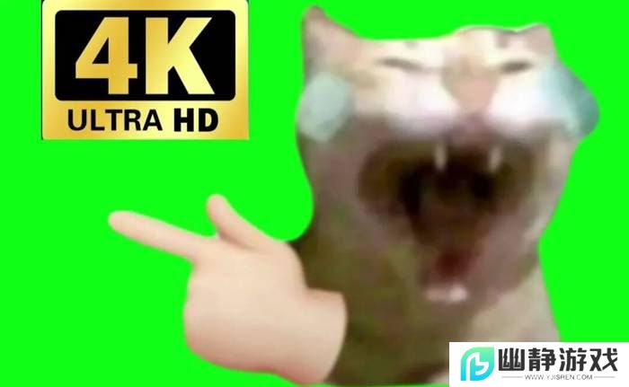 本站