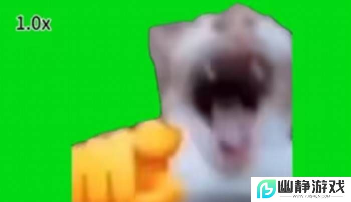 本站