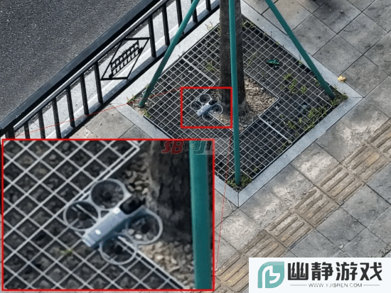 本站
