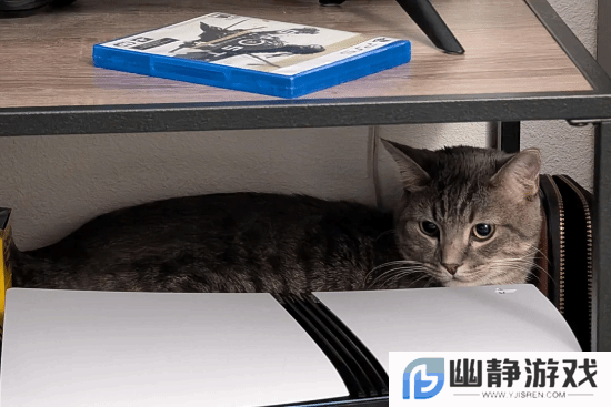 本站