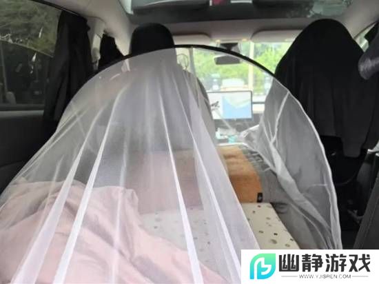 本站