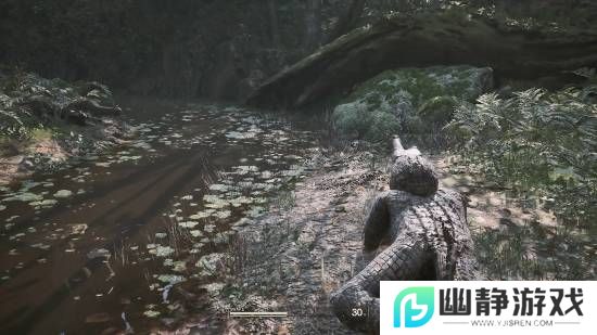本站