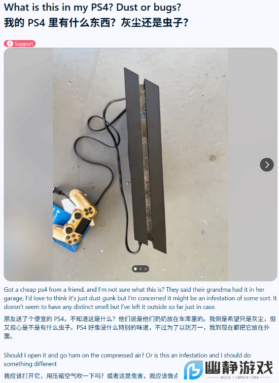 本站