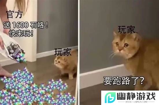 本站